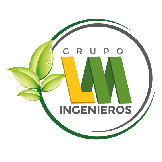GRUPO L&M INGENIEROS S.A.S